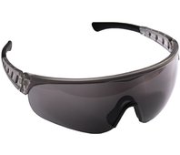 STAYER открытые, материал дужки нейлон, очки защитные 2-110432